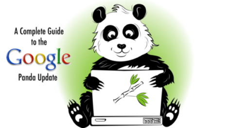 Google Panda Update Google Panda Update